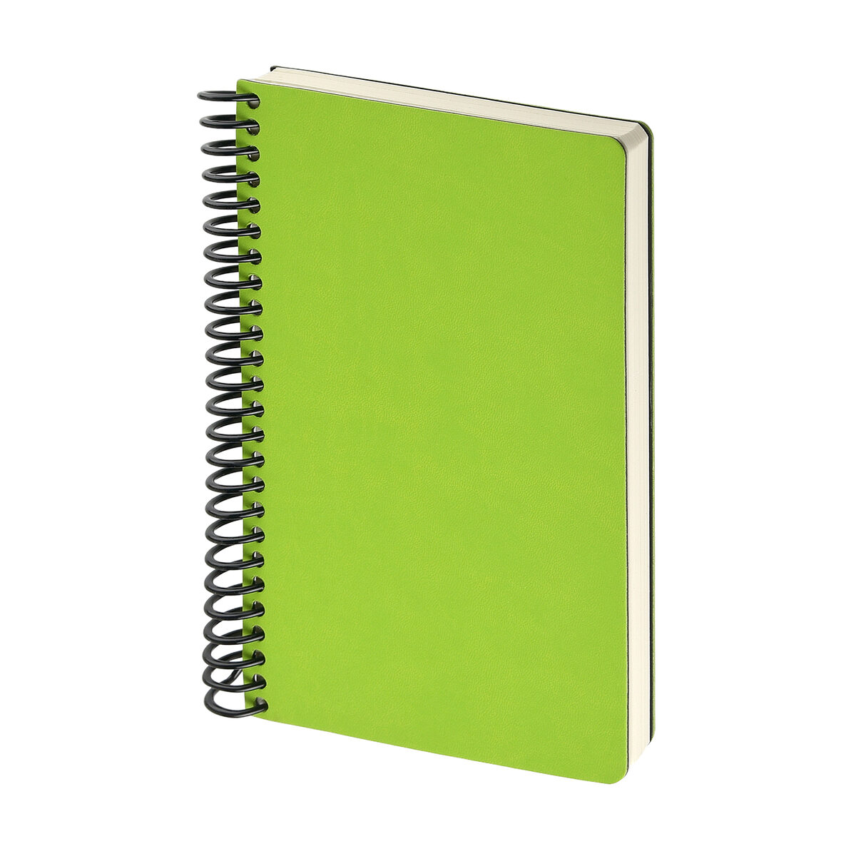 Ежедневник BrunoVisconti® недатированный А5 (130 х 215 мм) "AGENDA" салатовый 256 стр.